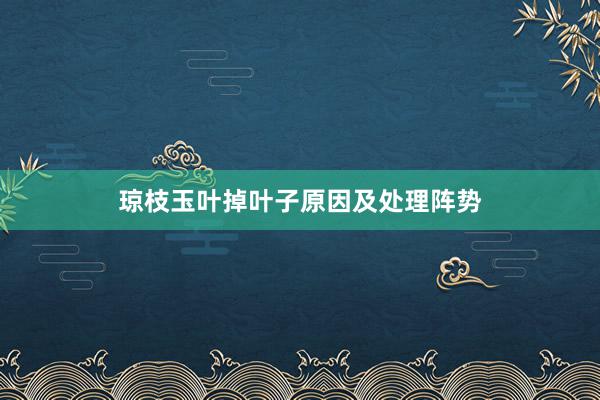 琼枝玉叶掉叶子原因及处理阵势