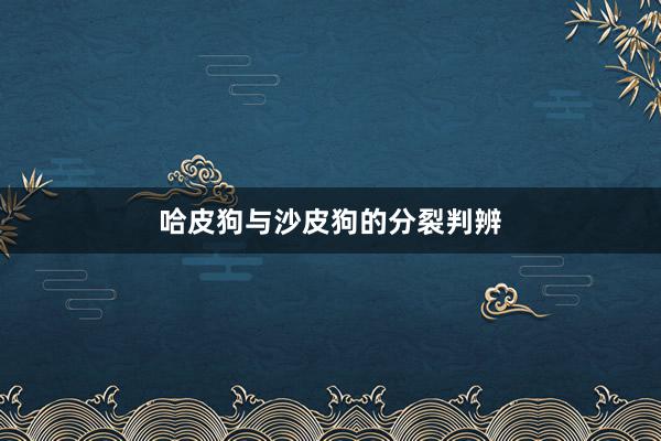 哈皮狗与沙皮狗的分裂判辨