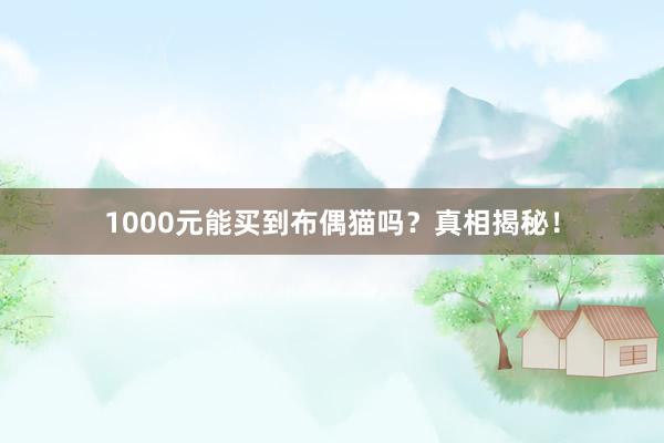 1000元能买到布偶猫吗?真相揭秘!