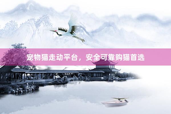 宠物猫走动平台，安全可靠购猫首选